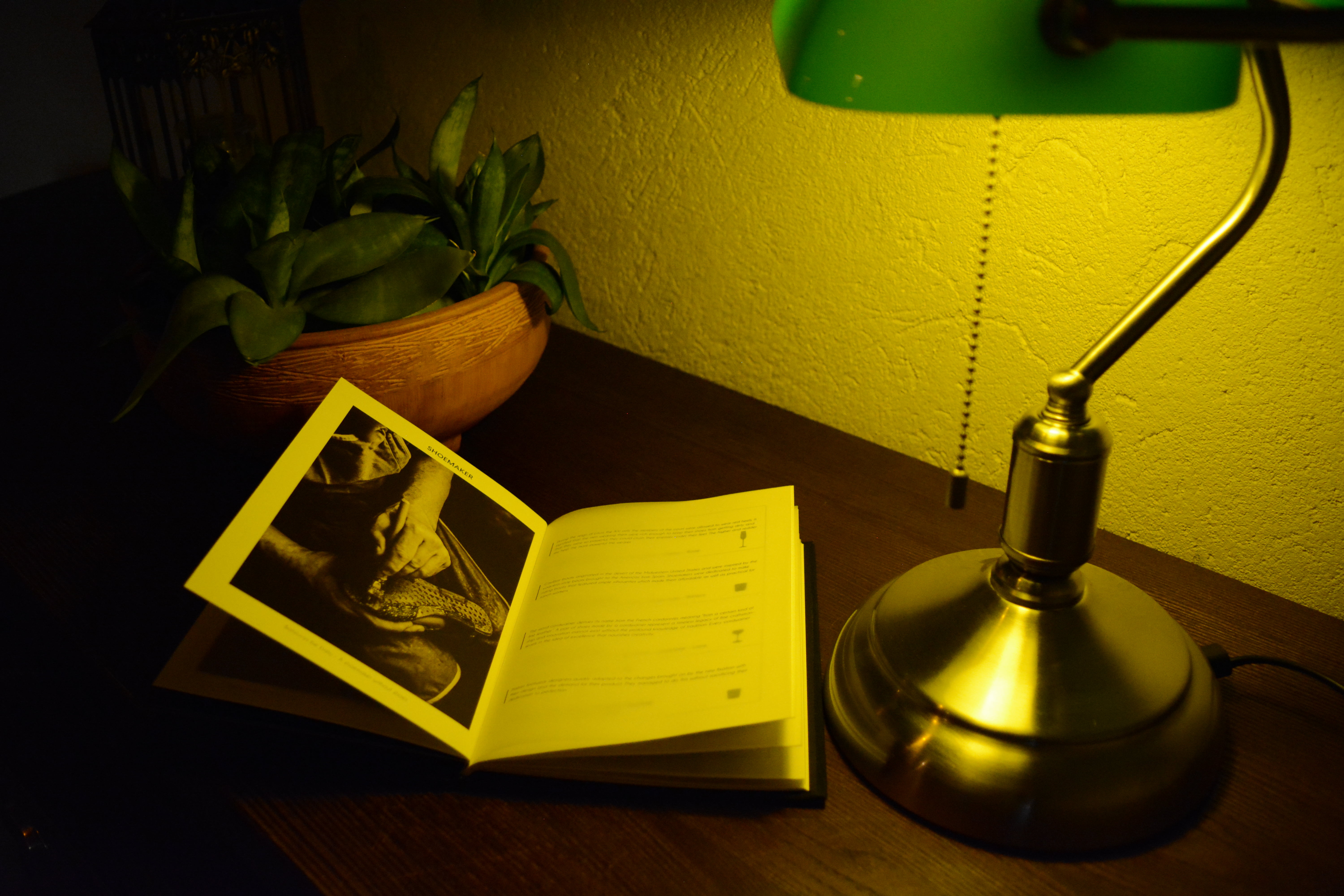Apoteka's menu, displayed next to a cozy light.